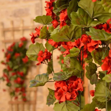 Lovely In With Courtyard & Heating